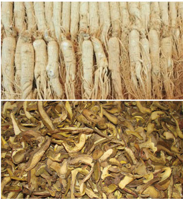 中藥材烘干處理解決方案 中藥材烘干處理解決方案