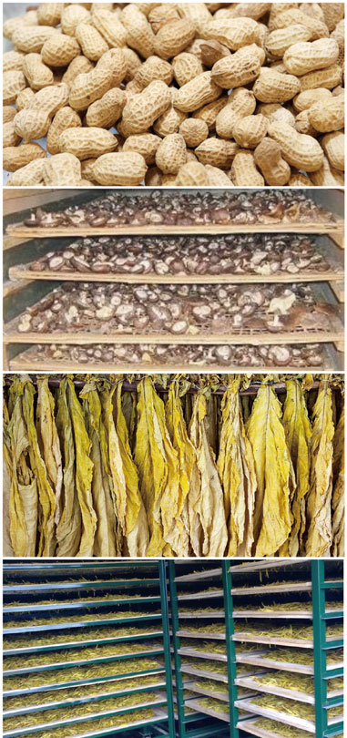 食用菌烘干處理解決方案 食用菌烘干處理解決方案